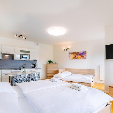 Horsky Apartman Temari 12 Klinovec Loucna pod Klinovcem Luaran gambar