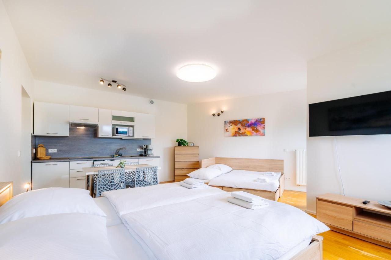 Horsky Apartman Temari 12 Klinovec Loucna pod Klinovcem Luaran gambar