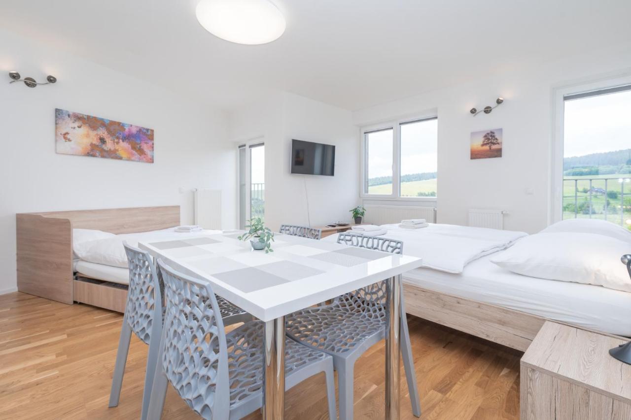 Horsky Apartman Temari 12 Klinovec Loucna pod Klinovcem Luaran gambar