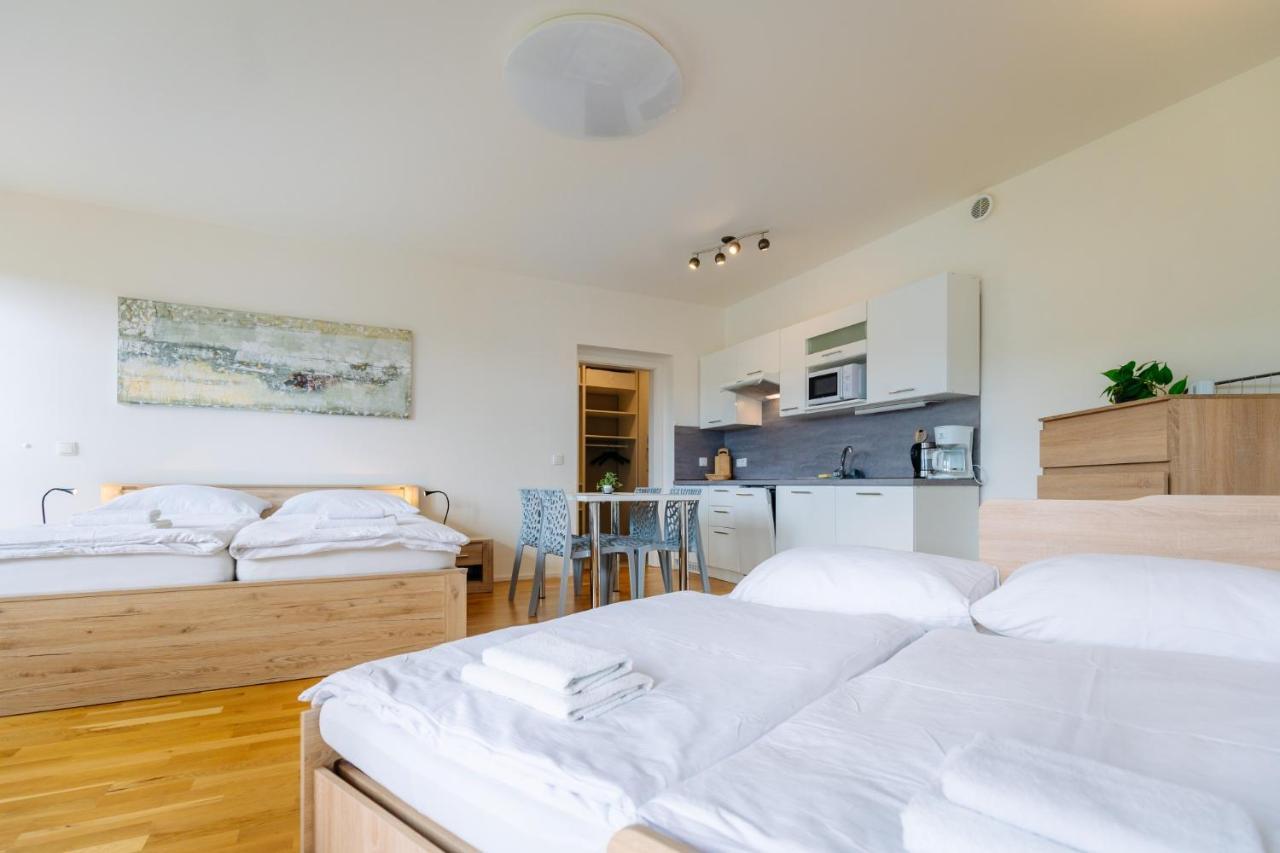Horsky Apartman Temari 12 Klinovec Loucna pod Klinovcem Luaran gambar