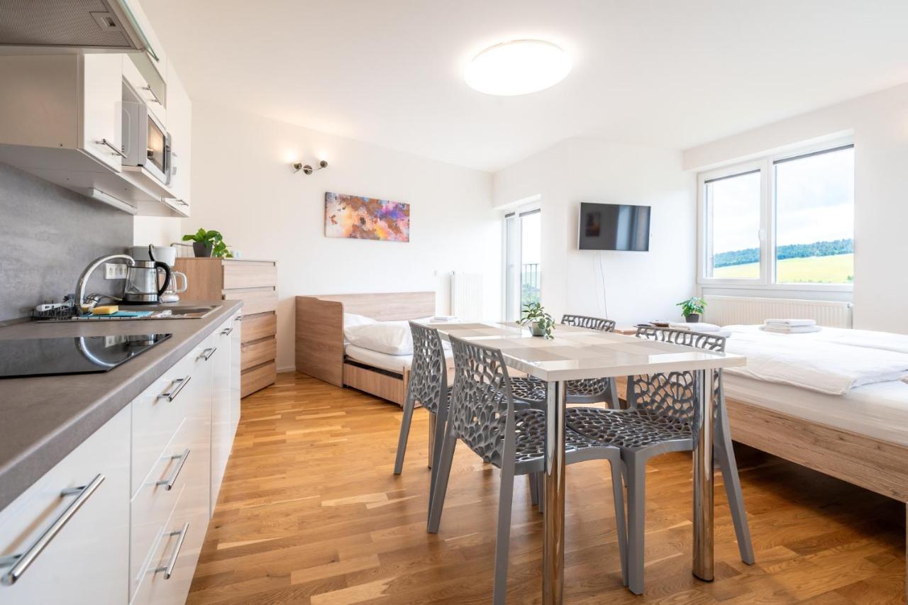 Horsky Apartman Temari 12 Klinovec Loucna pod Klinovcem Luaran gambar